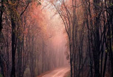 九游娱乐-欧预赛决胜局，谁能笑到最后？