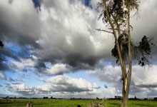 九游体育APP下载-帕尔梅拉斯进攻端火力全开，状态持续爆发