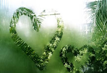 九游体育直播-欧预赛强队再登胜利宝座，辉煌背后的故事