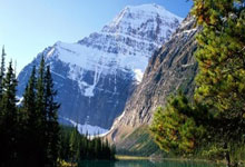 九游体育平台-黄色狂潮席卷维卡拉格路！诺里奇客场绞杀大黄蜂创英冠神话