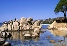 九游娱乐首页-西雅图海湾者后防联动升级，力求限制对方攻势