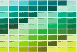 九游娱乐入口-绿军风光旧日，一路进军东部总决赛！